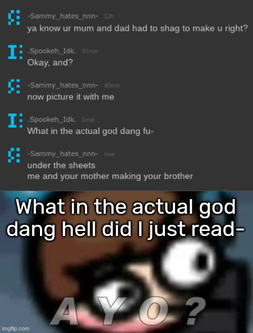 What in the actual god dang hell did I just read- | image tagged in a y o | made w/ Imgflip meme maker