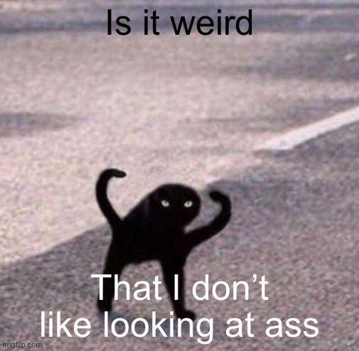 Cursed cat temp | Is it weird; That I don’t like looking at ass | image tagged in cursed cat temp | made w/ Imgflip meme maker