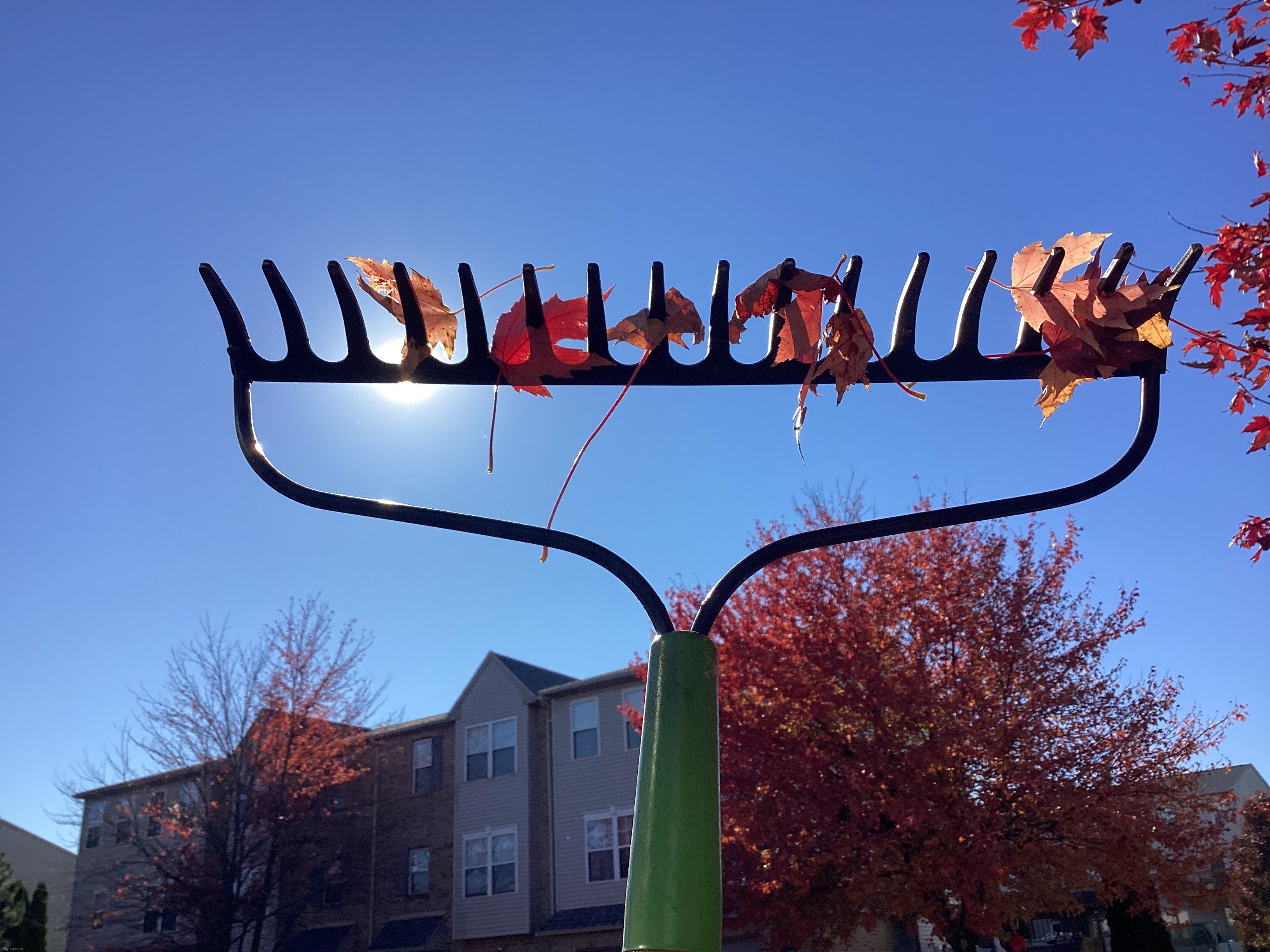 Leaves in a rake with the sun reflecting | image tagged in share your own photos | made w/ Imgflip meme maker