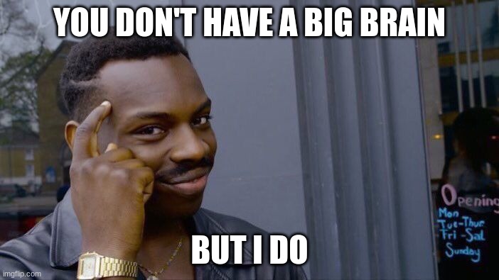 Roll Safe Think About It | YOU DON'T HAVE A BIG BRAIN; BUT I DO | image tagged in memes,roll safe think about it | made w/ Imgflip meme maker