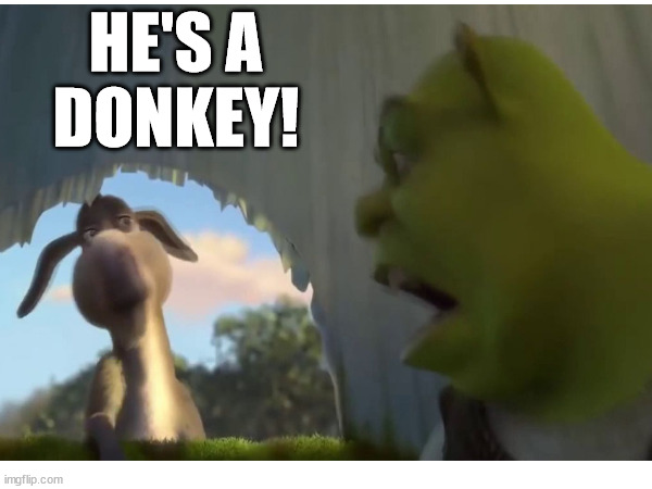 HE'S A
DONKEY! | made w/ Imgflip meme maker