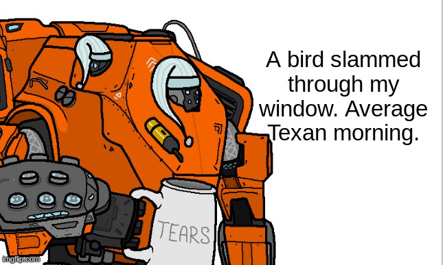 Good morning | A bird slammed through my window. Average Texan morning. | image tagged in good morning | made w/ Imgflip meme maker