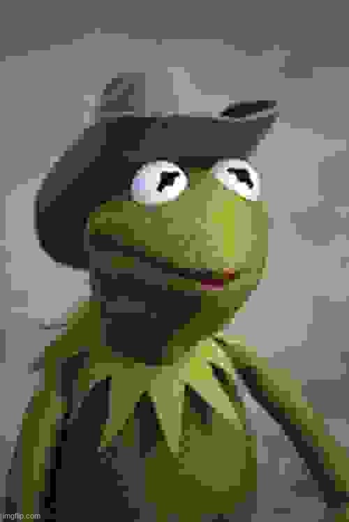 Texas Kermit | image tagged in texas kermit | made w/ Imgflip meme maker