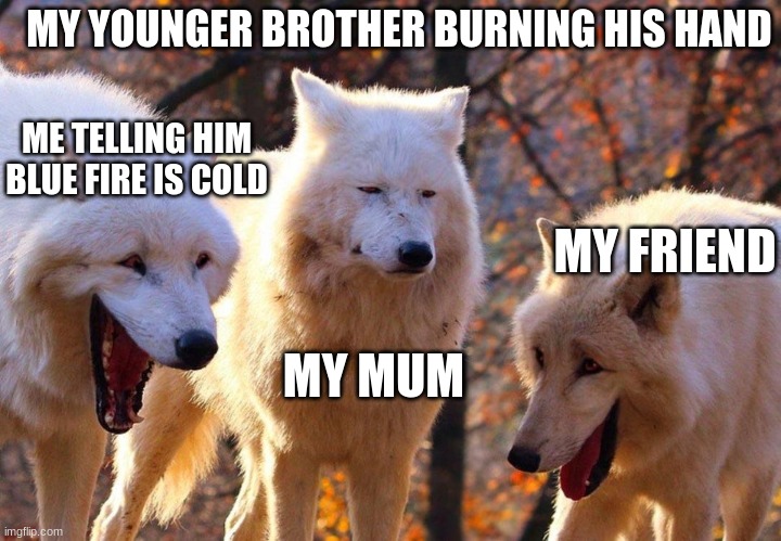 2/3 wolves laugh | MY YOUNGER BROTHER BURNING HIS HAND; ME TELLING HIM BLUE FIRE IS COLD; MY FRIEND; MY MUM | image tagged in 2/3 wolves laugh | made w/ Imgflip meme maker