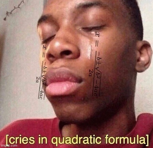 New temp, this somehow wasn't already one. | image tagged in cries in quadratic formula,yeah its free to use too | made w/ Imgflip meme maker