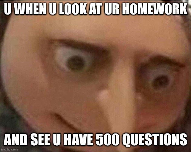 gru meme | U WHEN U LOOK AT UR HOMEWORK; AND SEE U HAVE 500 QUESTIONS | image tagged in gru meme | made w/ Imgflip meme maker