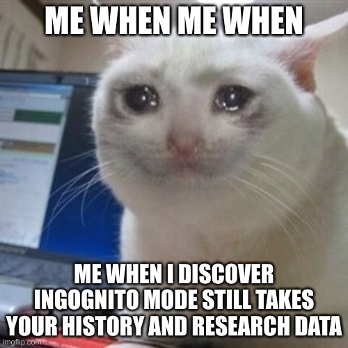 Crying cat | ME WHEN ME WHEN; ME WHEN I DISCOVER INGOGNITO MODE STILL TAKES YOUR HISTORY AND RESEARCH DATA | image tagged in crying cat | made w/ Imgflip meme maker