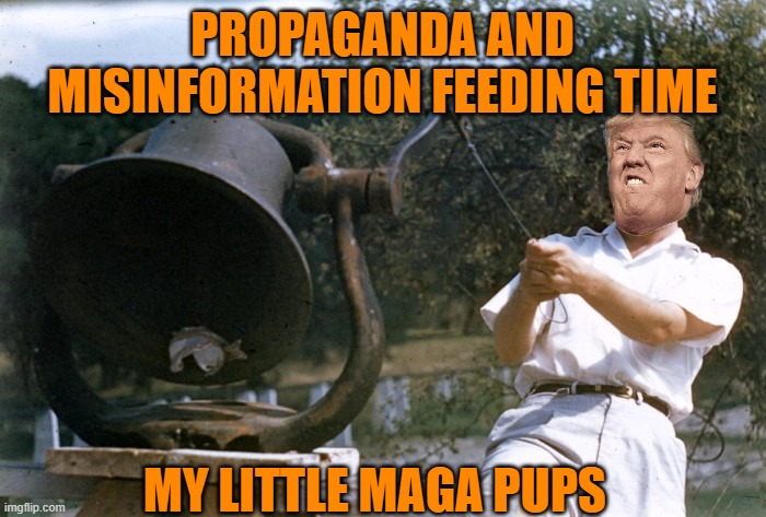 The Trump Pavlovian/MAGA affect | PROPAGANDA AND MISINFORMATION FEEDING TIME MY LITTLE MAGA PUPS | image tagged in donald trump,maga,political meme,midterms,fake news | made w/ Imgflip meme maker