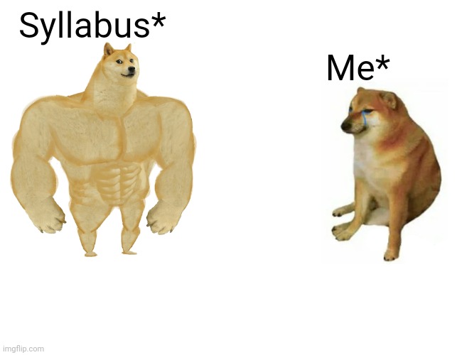 Me & my syllabus | Memes By Amaan | Syllabus*; Me* | image tagged in memes,buff doge vs cheems,funny memes,funny,fun | made w/ Imgflip meme maker