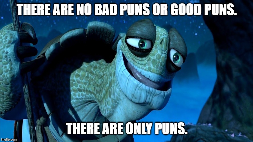 No bad puns or good puns | image tagged in no bad puns or good puns | made w/ Imgflip meme maker