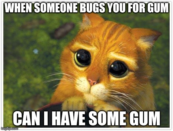 me gum | WHEN SOMEONE BUGS YOU FOR GUM; CAN I HAVE SOME GUM | image tagged in memes,shrek cat | made w/ Imgflip meme maker