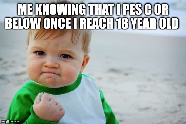 ME KNOWING THAT I PES C OR BELOW ONCE I REACH 18 YEAR OLD | image tagged in memes,success kid original | made w/ Imgflip meme maker