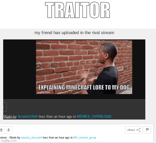 Traitor | TRAITOR | image tagged in funny memes | made w/ Imgflip meme maker