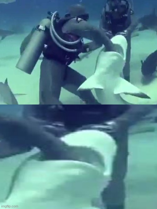 WHY IS THIS SO FUNNY LMFAO | made w/ Imgflip meme maker