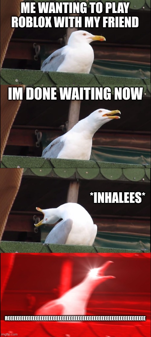 Inhaling Seagull Meme | ME WANTING TO PLAY ROBLOX WITH MY FRIEND; IM DONE WAITING NOW; *INHALEES*; REEEEEEEEEEEEEEEEEEEEEEEEEEEEEEEEEEEEEEEEEEEEEEEEEEEEEEEEEEEEE | image tagged in memes,inhaling seagull | made w/ Imgflip meme maker