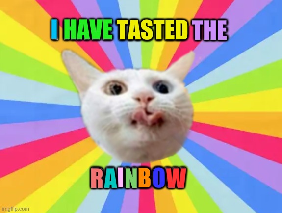 Smoked it too... | I HAVE TASTED THE RAINBOW I HAVE TASTED THE R A N B O W | image tagged in cat lick,cat,taste the rainbow,rainbow,catnip,high | made w/ Imgflip meme maker