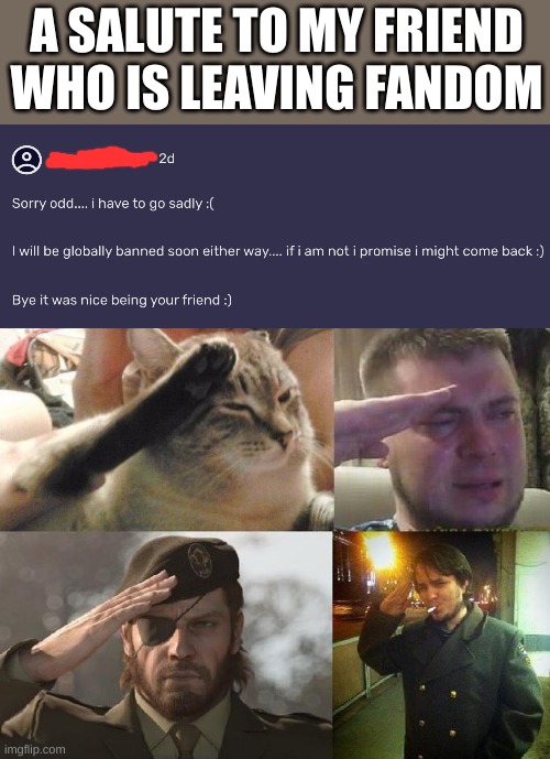 Goodbye, old friend. And may the Force be with you. | A SALUTE TO MY FRIEND WHO IS LEAVING FANDOM | image tagged in ozon's salute | made w/ Imgflip meme maker