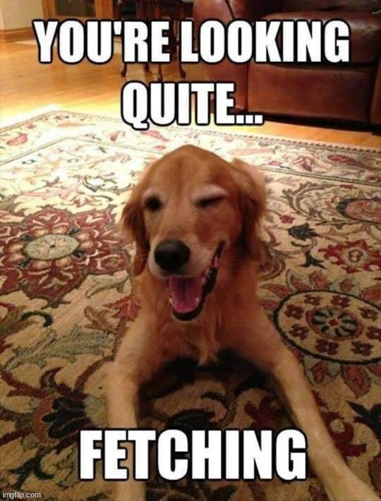 image tagged in eyeroll | made w/ Imgflip meme maker