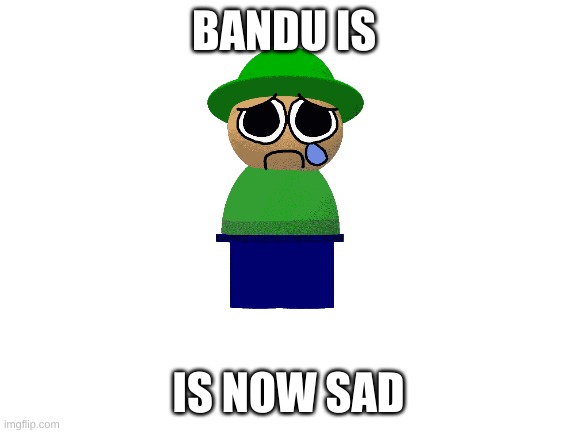 Blank White Template | BANDU IS IS NOW SAD | image tagged in blank white template | made w/ Imgflip meme maker