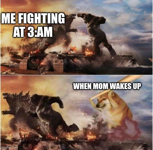 stop fightinh at 3:AM | ME FIGHTING AT 3:AM; WHEN MOM WAKES UP | image tagged in kong godzilla doge | made w/ Imgflip meme maker