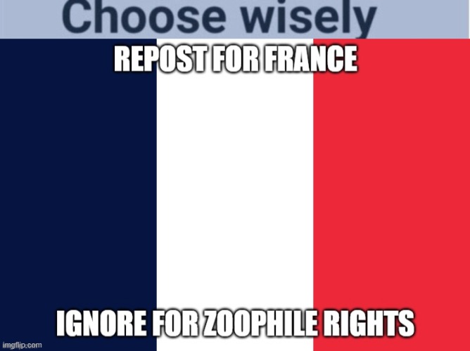 the impossible decision | image tagged in choose wisely,repost for france | made w/ Imgflip meme maker