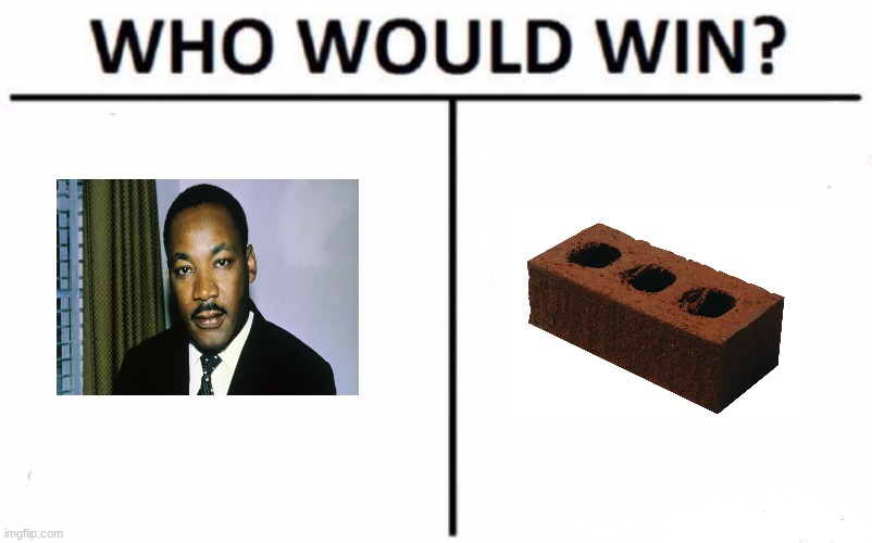 who would win? | image tagged in memes,who would win | made w/ Imgflip meme maker