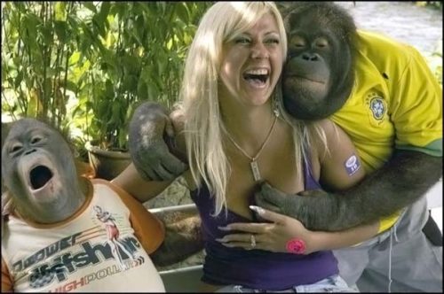 image tagged in babes,animals