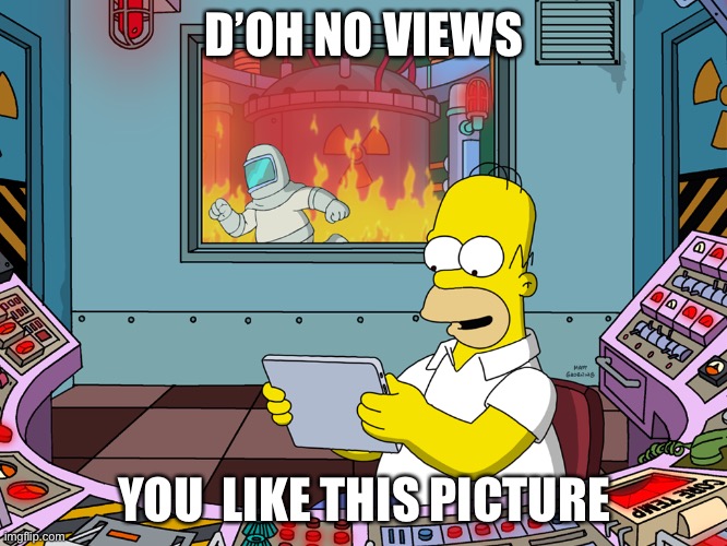 homer simpson | D’OH NO VIEWS; YOU  LIKE THIS PICTURE | image tagged in homer simpson | made w/ Imgflip meme maker