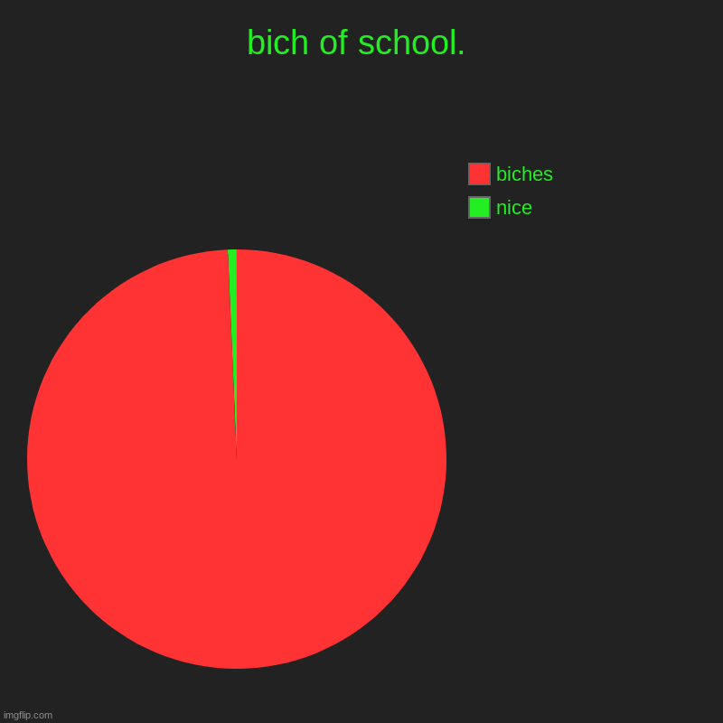 biches | bich of school. | nice, biches | image tagged in charts,pie charts | made w/ Imgflip chart maker