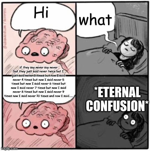 Brain Before Sleep | what; Hi; if they say never say never but they just said never twice but I just said never 3 times but now I said never 4 times but now I said never 5 times but now I said never 6 times but now I said never 7 times but now I said never 8 times but now I said never 9 times now I said never 10 times and now I said..... *ETERNAL CONFUSION* | image tagged in brain before sleep | made w/ Imgflip meme maker