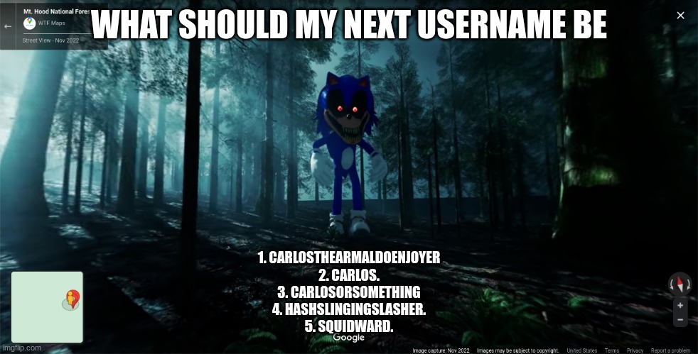 sonic.exe irl!!!!1!11111 | WHAT SHOULD MY NEXT USERNAME BE; 1. CARLOSTHEARMALDOENJOYER
2. CARLOS.
3. CARLOSORSOMETHING
4. HASHSLINGINGSLASHER.
5. SQUIDWARD. | image tagged in sonic exe irl 1 11111 | made w/ Imgflip meme maker