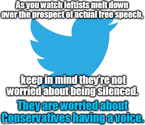 When you can't defend your point, censor those who can prove you wrong. | As you watch leftists melt down over the prospect of actual free speech, keep in mind they’re not worried about being silenced. They are worried about Conservatives having a voice. | image tagged in twitter,triggered liberal,liberal hypocrisy,free speech,the truth | made w/ Imgflip meme maker