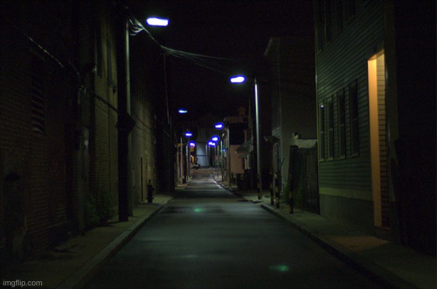 Dark Alleyway | image tagged in dark alleyway | made w/ Imgflip meme maker