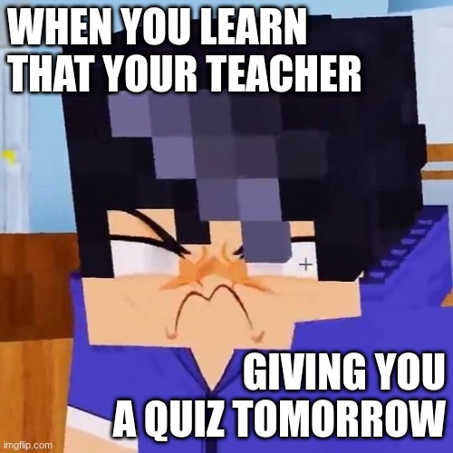 Ein Meme | WHEN YOU LEARN THAT YOUR TEACHER; GIVING YOU A QUIZ TOMORROW | image tagged in ein angry,aphmau | made w/ Imgflip meme maker