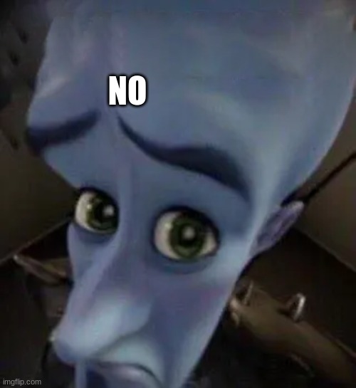 megamind no b | NO | image tagged in megamind no b | made w/ Imgflip meme maker