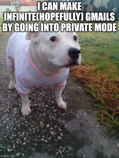 High quality Huh Dog | I CAN MAKE INFINITE(HOPEFULLY) GMAILS BY GOING INTO PRIVATE MODE | image tagged in high quality huh dog | made w/ Imgflip meme maker