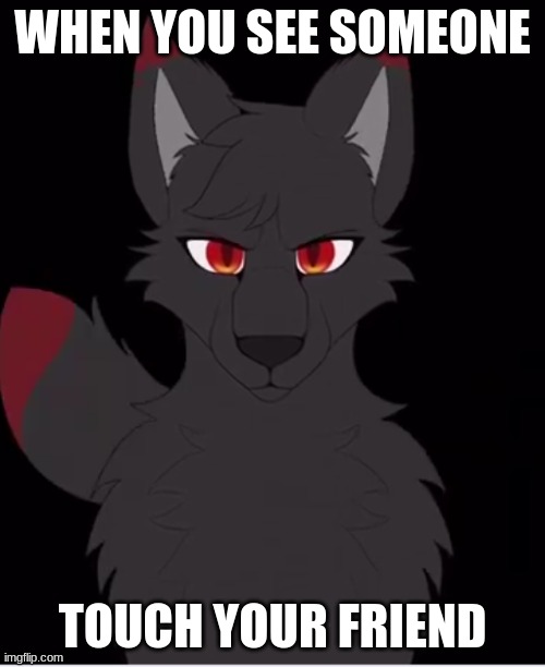 Wolf angry | WHEN YOU SEE SOMEONE; TOUCH YOUR FRIEND | image tagged in wolf,aphmau | made w/ Imgflip meme maker