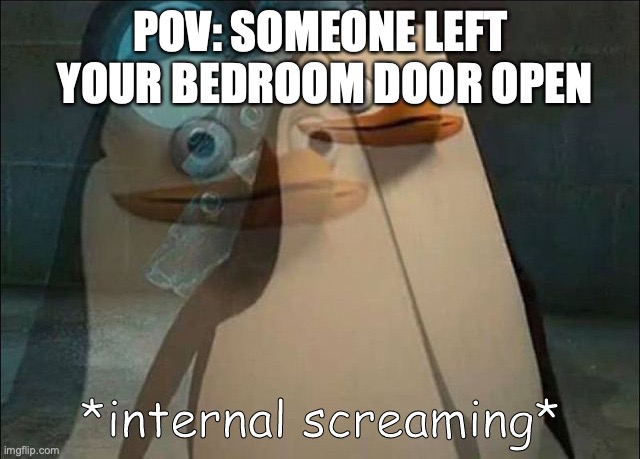 Private Internal Screaming | POV: SOMEONE LEFT  YOUR BEDROOM DOOR OPEN | image tagged in private internal screaming | made w/ Imgflip meme maker