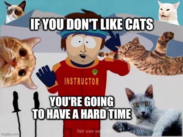 IF YOU DON'T LIKE CATS; YOU'RE GOING TO HAVE A HARD TIME | image tagged in cats,grumpy cat,smudge the cat,hard times,i love cats,kitties | made w/ Imgflip meme maker