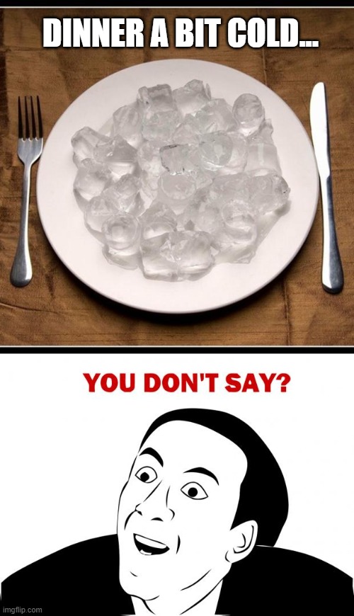 A bit cold... | DINNER A BIT COLD... | image tagged in plate of ice cubes,memes,you don't say | made w/ Imgflip meme maker