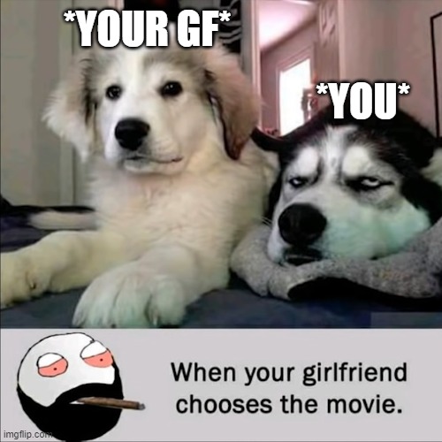 *YOUR GF*; *YOU* | image tagged in dogs | made w/ Imgflip meme maker