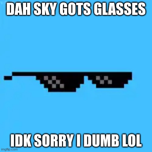 i idk idk why i did this | DAH SKY GOTS GLASSES; IDK SORRY I DUMB LOL | image tagged in idk girl | made w/ Imgflip meme maker