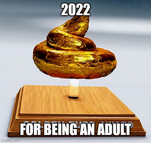 Award for being an adult | 2022; FOR BEING AN ADULT | image tagged in golden turd award | made w/ Imgflip meme maker