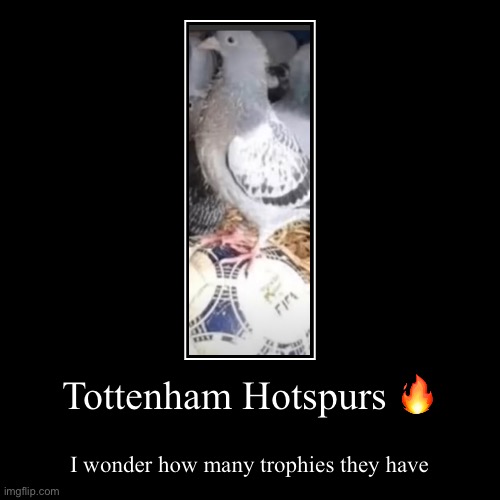 Tottenham baby! | image tagged in funny,demotivationals | made w/ Imgflip demotivational maker