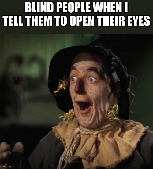 cant think of a good title | BLIND PEOPLE WHEN I TELL THEM TO OPEN THEIR EYES | image tagged in straw man - what a great idea,duh,of course,funny | made w/ Imgflip meme maker