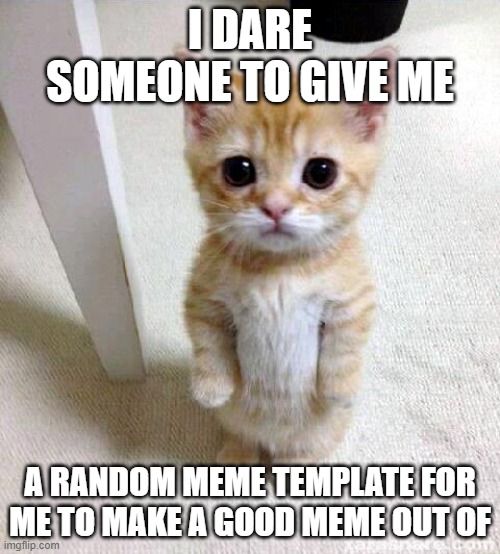 Cute Cat Meme | I DARE SOMEONE TO GIVE ME; A RANDOM MEME TEMPLATE FOR ME TO MAKE A GOOD MEME OUT OF | image tagged in memes,cute cat | made w/ Imgflip meme maker