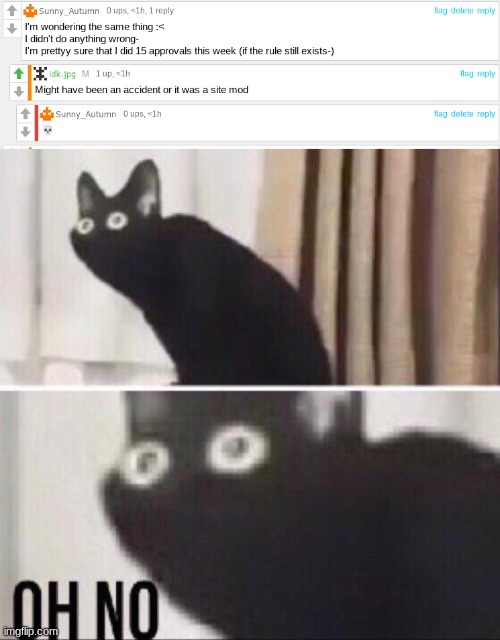 NOT THE SITE MODS | image tagged in oh no cat | made w/ Imgflip meme maker
