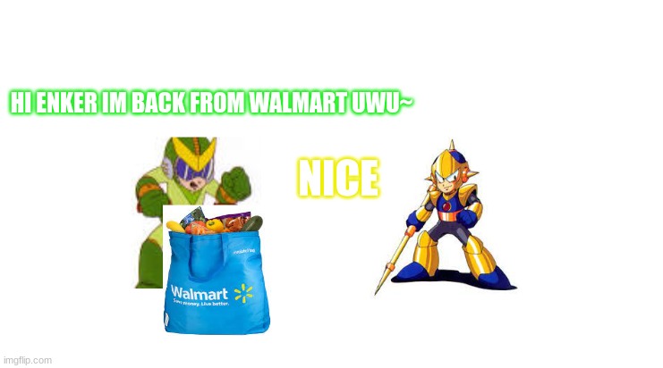 quint comes home from walmart | HI ENKER IM BACK FROM WALMART UWU~; NICE | image tagged in megaman,enker,quint,walmart,groceries,homosexual | made w/ Imgflip meme maker