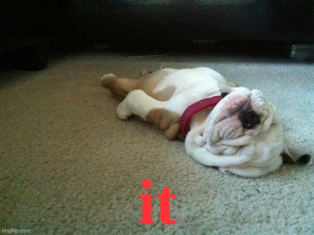 Deflated Bulldog | it | image tagged in deflated bulldog | made w/ Imgflip meme maker