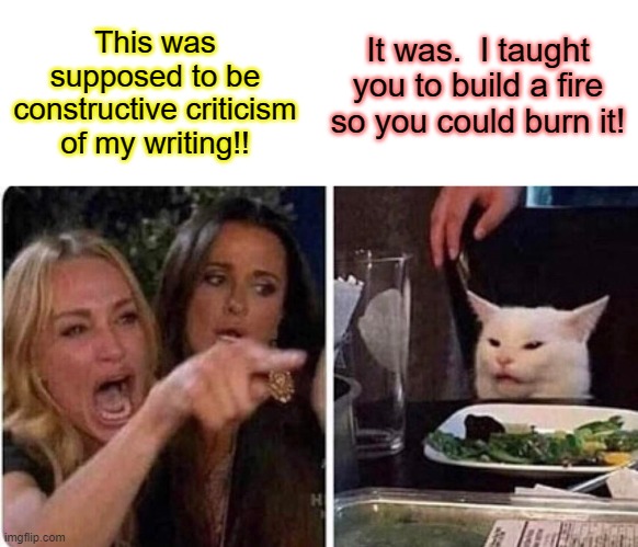 Lady screams at cat | This was supposed to be constructive criticism of my writing!! It was.  I taught you to build a fire so you could burn it! | image tagged in lady screams at cat | made w/ Imgflip meme maker